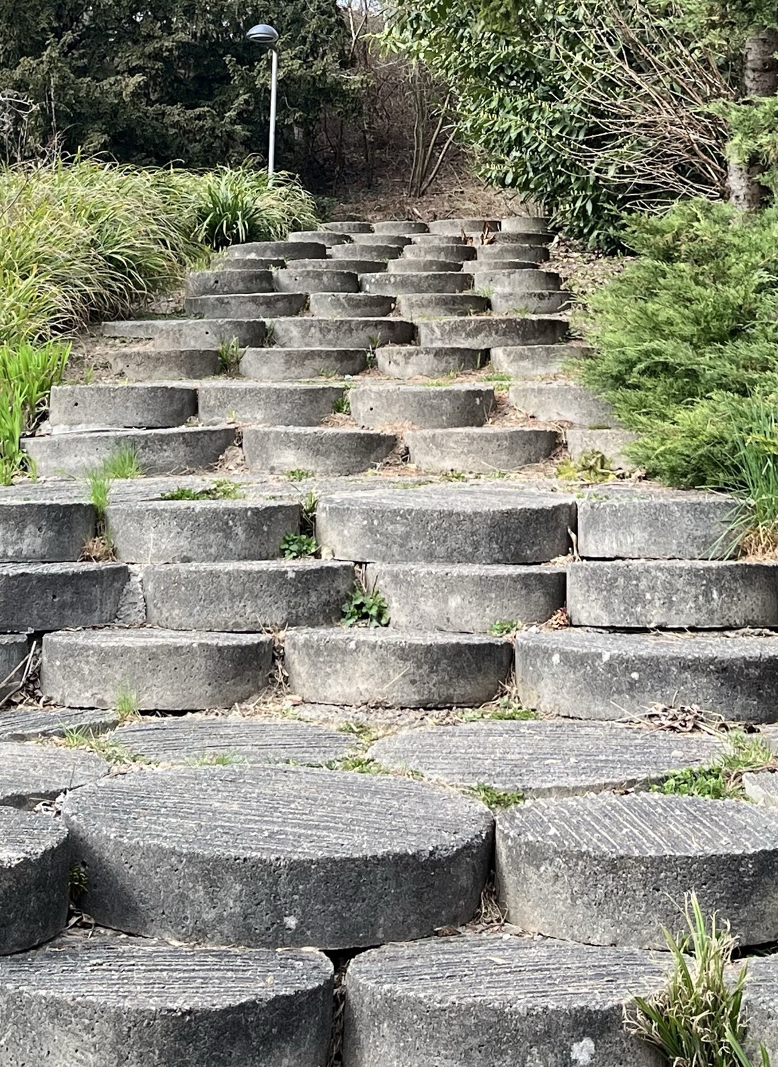 Steintreppe im Grünen